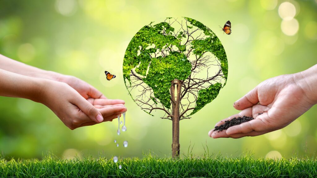 Environment Protection Rules 2025