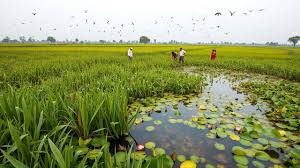 India’s Wetland Conservation Resolution Adopted