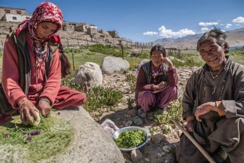 Ladakh Demanding Sixth Schedule