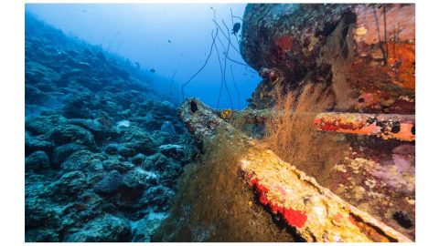 भारत को हिंद महासागर में मिला दूसरा ‘खनिज अन्वेषण अनुबंध’