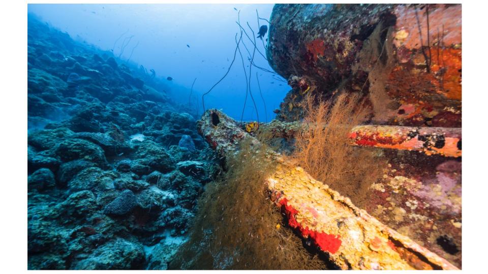 India Secures Licence to Explore Polymetallic Sulphide