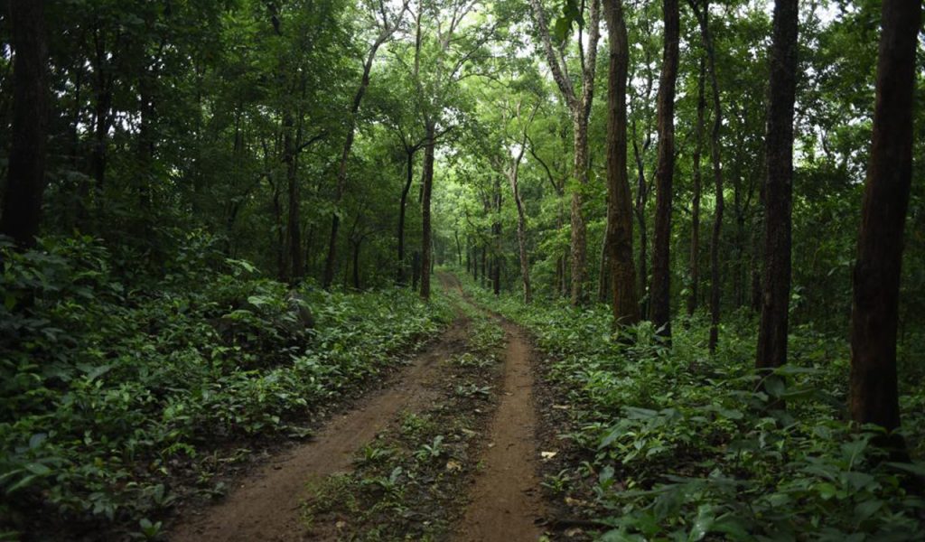 Van (Sanrakshan Evam Samvardhan) Amendment Rules, 2025