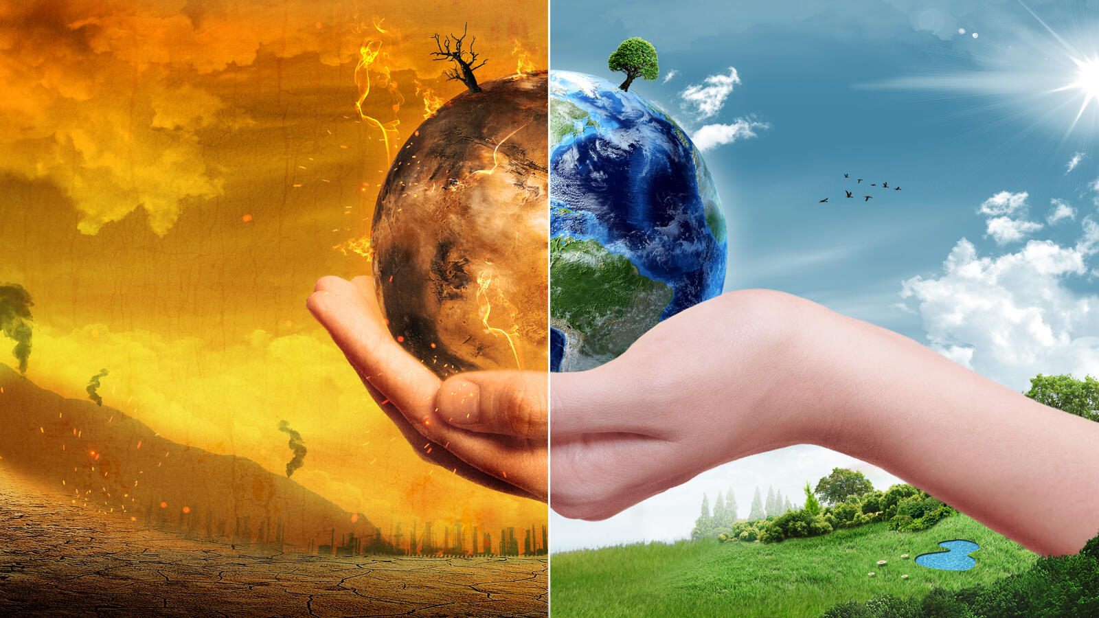 Global Climate and Health Alliance Report on Impacts of Fossil Fuels ...