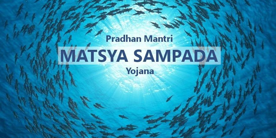 Five Years of Pradhan Mantri Matsya Sampada Yojana