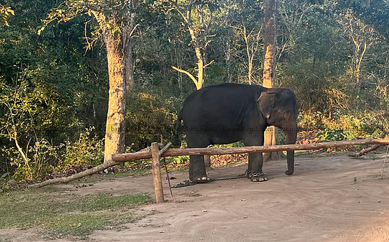 वन्यजीव संरक्षण (केरल संशोधन) विधेयक, 2025