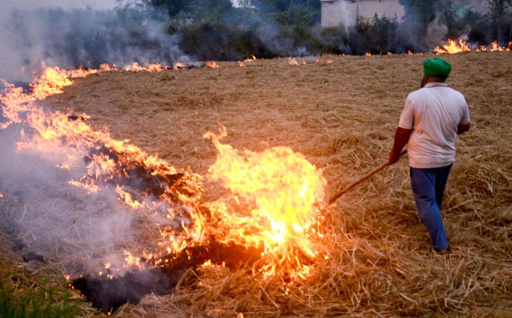 पंजाब में खेतों में आग लगने की घटनाओं में कमी