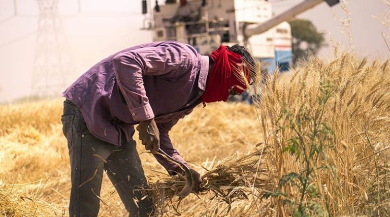 Pradhan Mantri Dhan-Dhaanya Krishi Yojana