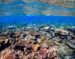 IUCN World Heritage Outlook 4