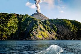 Samples from India's only Active Mud Volcano