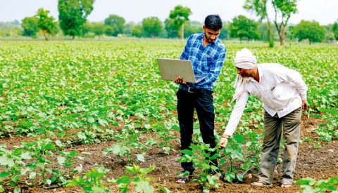 Uttar Pradesh to Formulate Digital Agriculture Policy