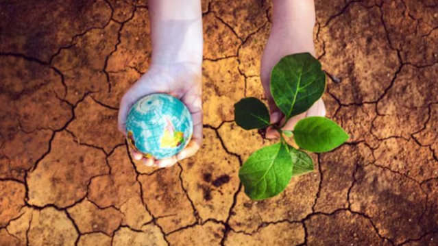 Climate Change Performance Index 2026