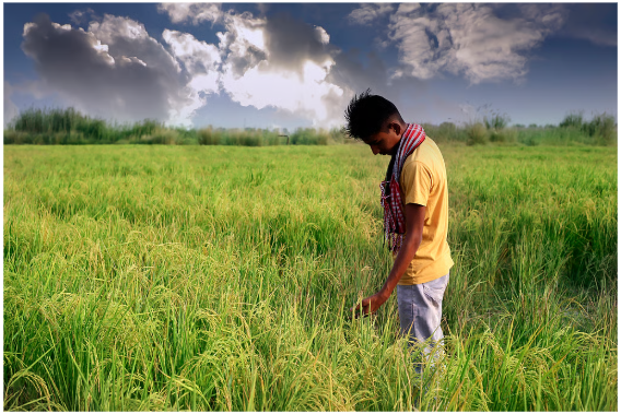 द स्टेट ऑफ फूड एंड एग्रीकल्चर (SOFA) 2025 रिपोर्ट