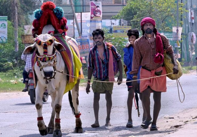 विमुक्त, घुमंतू और अर्ध-घुमंतू जनजातियाँ