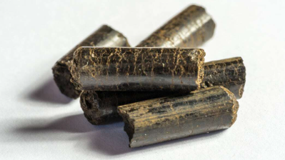 Policy on Co-firing Biomass and Torrefied Charcoal