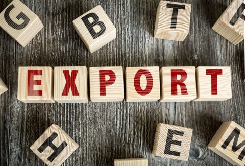 Export Promotion in UP