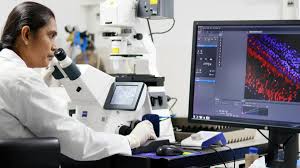 Desi Gene Editing Technology