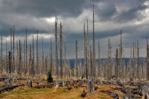 The Lancet Countdown on health and climate change 2025 Report