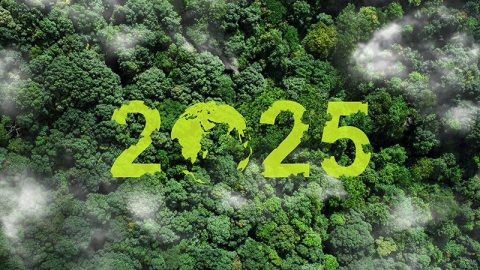 Global Environment Outlook 2025 (GEO-7)