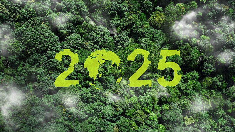 Global Environment Outlook 2025 (GEO-7)