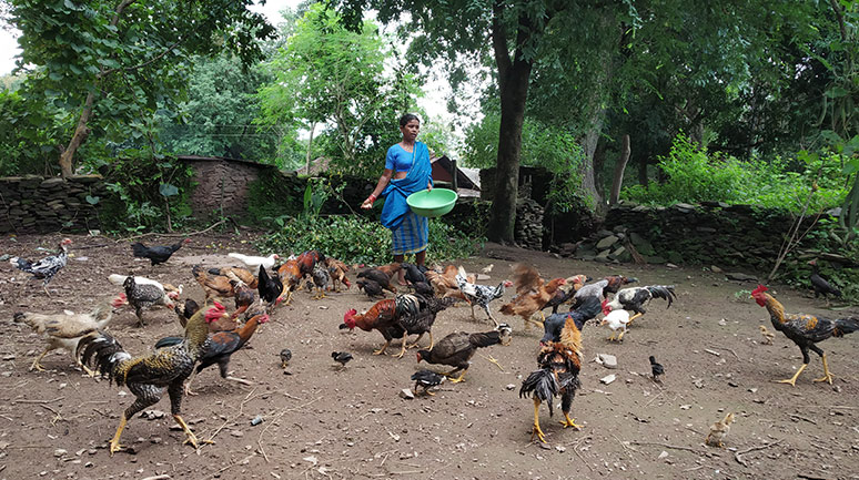 UP to expand Backyard Poultry Scheme