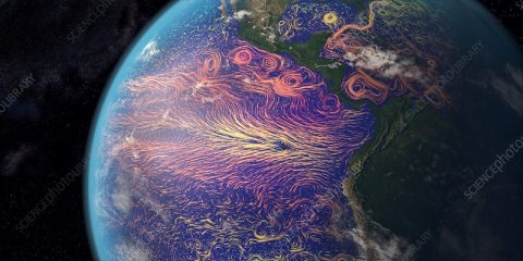 Equatorial Pacific shows early signals of El Niño return in 2026