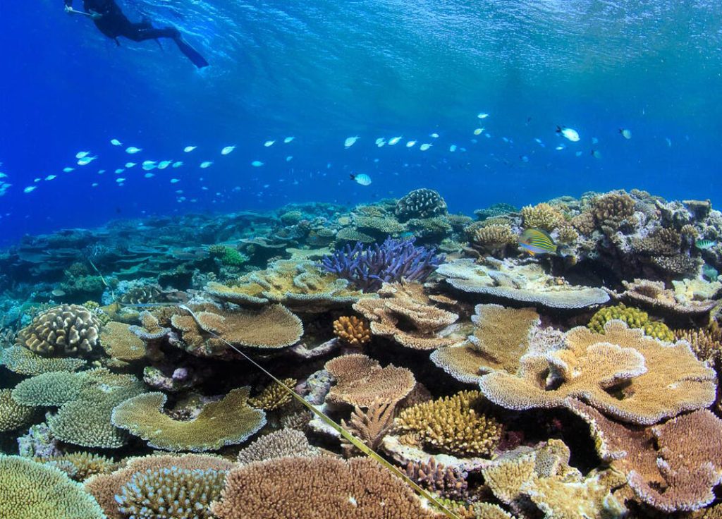 India’s first coral reef research centre