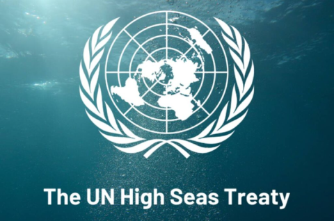 UN High Seas Treaty