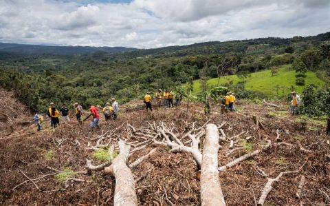Farming Expansion Threatens Global Biodiversity Hotspots