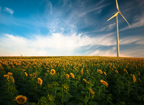 Environmental (Protection) Fund Rules, 2026