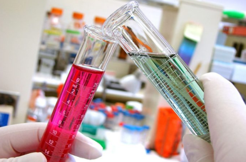 Uttar Pradesh government to strengthen the pharma industry across the state, including Bundelkhand