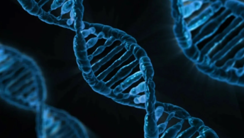 Tracing population history using human bones and ancient DNA in Lucknow