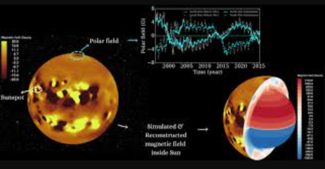 Surface Observations Reveal the Sun’s Hidden Magnetic Interior