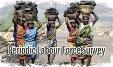 Periodic Labour Force Survey (PLFS) Annual Report 2025