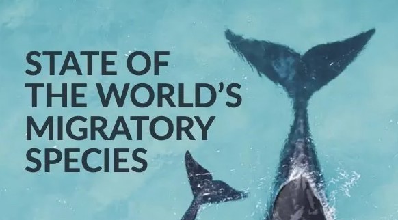 State of the World’s Migratory Species
