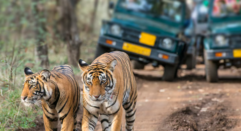 जैव विविधता पर कन्वेंशन (CBD)के अंतर्गत भारत की 7वीं राष्ट्रीय रिपोर्ट