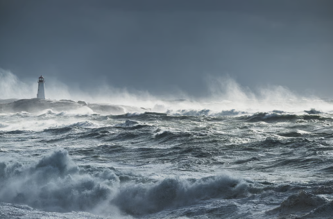 Marine Heatwaves Amplifying Tropical Cyclone Risks