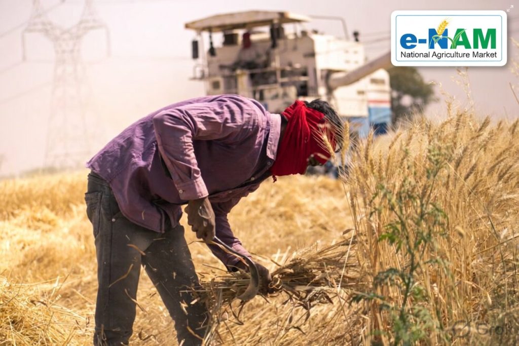e-NAM Completes 10 Years: Digital Revolution in India’s Agricultural Marketing