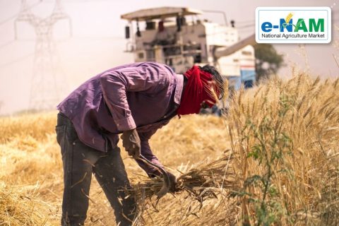 e-NAM Completes 10 Years: Digital Revolution in India’s Agricultural Marketing