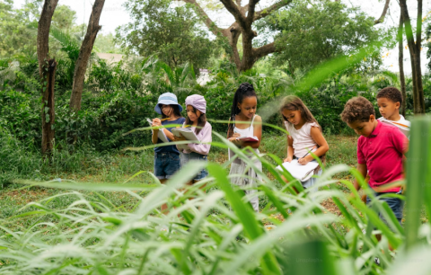 UNESCO People and Nature Report