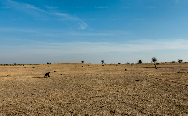 Report on Land Inequality in India