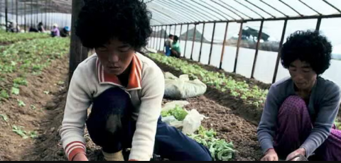 Fund for Responding to Loss and Damage (FRLD)