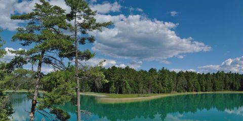 Shekha Jheel Declared India’s 99th Ramsar Site