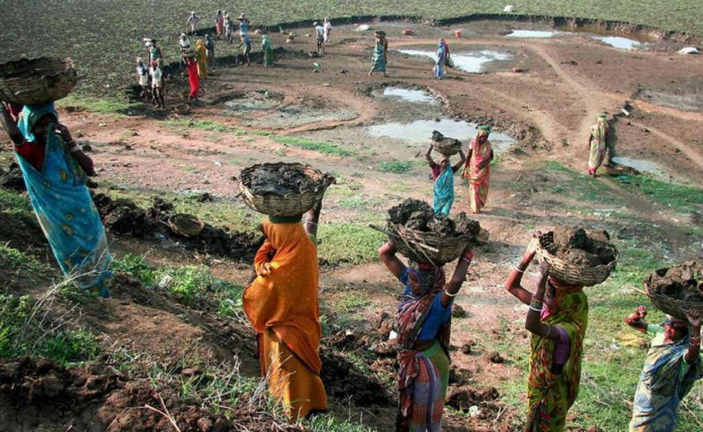 LibTech Report Highlights Sharp Decline in MGNREGS Employment in 2025–26
