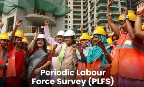 Periodic Labour Force Survey (PLFS) Quarterly Bulletin (Jan-Mar 2026)