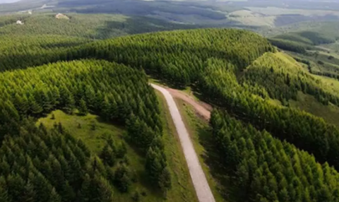 Global Forest Goals Report 2026