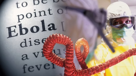 WHO Declares Ebola Outbreak a Public Health Emergency of International Concern (PHEIC)