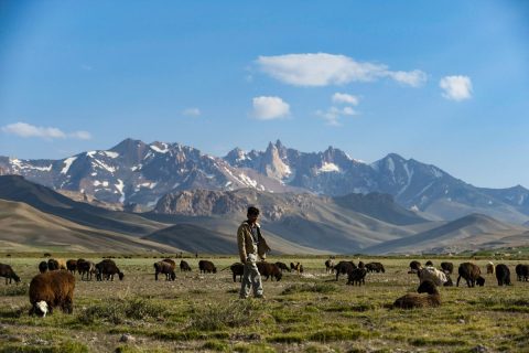 Hindu Kush Himalaya Countries Need USD 12 Trillion in Climate Finance: ICIMOD Report