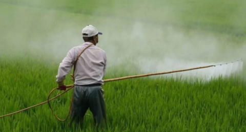 National Investment Policy for Urea-2026 (NIPU-2026)