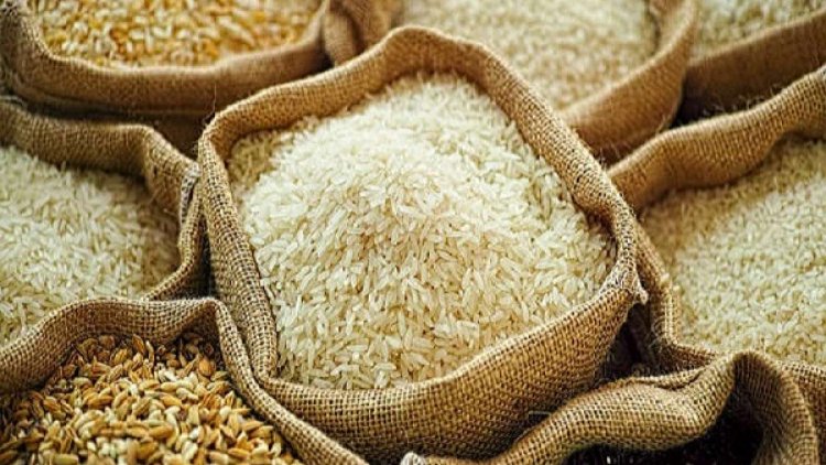 CCEA Approves Better-Quality Rice under PMGKAY