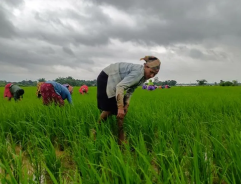 Cabinet Approves Continuation of PM-KISAN Scheme till 2030-31
